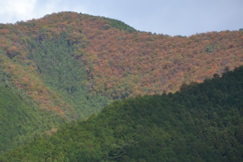 梅田湖から見える山
