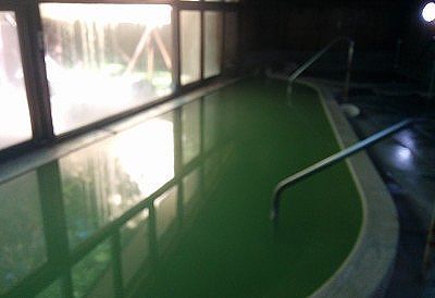 緑色の内湯の様子