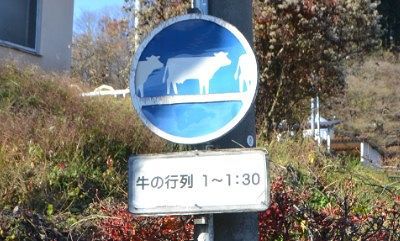 牛の行列の標識