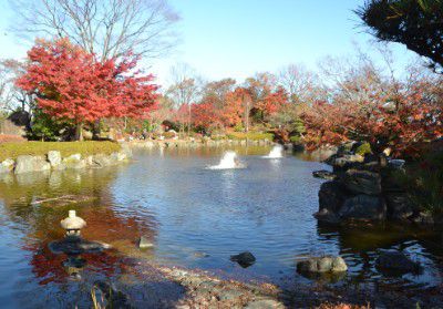 日本庭園と紅葉