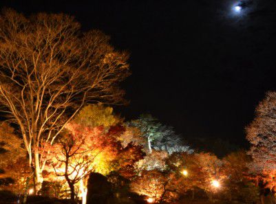 桜山公園ライトアップ