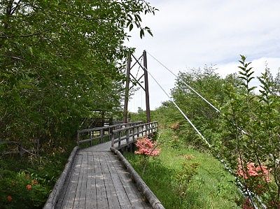 遊歩道とつつじ吊橋