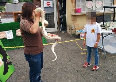蛇と少女