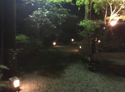夜の庭