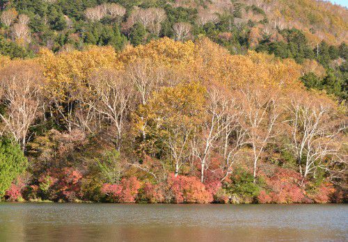 紅葉の湯ノ湖の景色