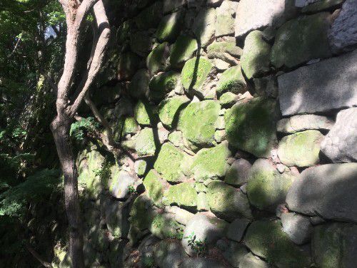 岡崎城の石垣