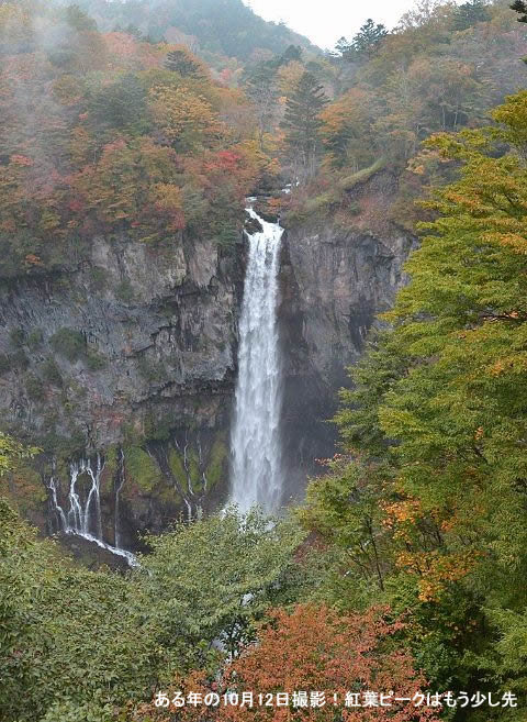 無料観瀑台から見た紅葉の景色